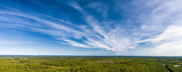 Breathtaking Aerial View of Endless Scandinavian green pine tree forest up to horizon line, blue sky with cirrus clouds. Sunny summer day, Typical Northern Scandinavia landscape in subpolar regions