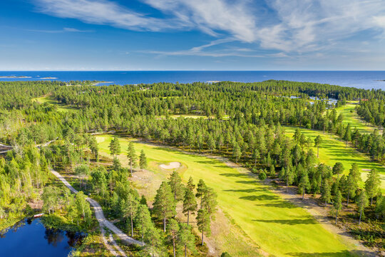 Aerial perspective view on Narrow long golf course in Northern forest. Unidentified people play golf on Golf course, pine trees around, Baltic Sea on horizon. Warm Sunny day excellent for golfers
