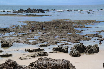 Fototapeta premium SAMSUNG CSC