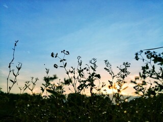 A Sunset in Costa Rica