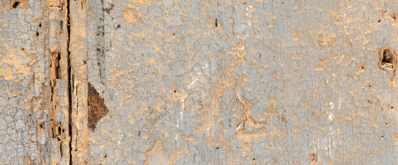 interesting texture of a wooden surface, natural wood as an elegant background