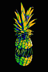 Ananas (mehrere Farbpaletten in AI-Datei)