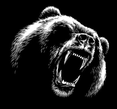 black and white linear draw bear illustration