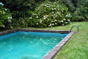 swimming pool in the garden