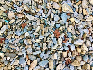 Maine Pebbles