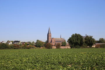 Fototapeta na wymiar View over green agriculture field on dutch village with church in autumn - Kessel, Netherlands