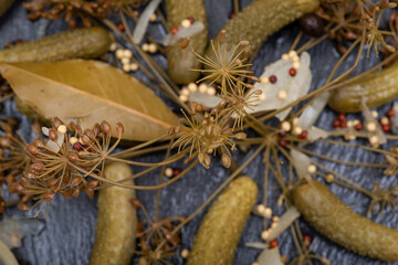 Extra Fine Cornichons - minuscule sour French pickles on natural stone background. Mini French style Gherkin Cucumbers.