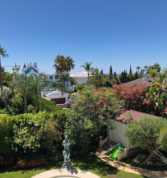tropical garden with palms
