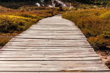 Fototapeta premium Wooden boardwalk in volcanic landscape