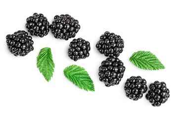 blackberry isolated on a white background closeup. Clipping path and full depth of field. Top view....