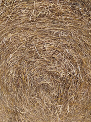 Dry straw texture. Yellow straw grass background. Close-up of a typical bale of straw. Rolled up bale of straw detail. Abstract natural background Hay stack. Agriculture and livestock pattern