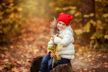 girl walks in the Park in autumn, October, yellow leaves, autumn forest