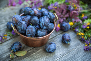Ripe plum in a copper vintage bowl on an old wooden background.
