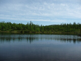 lake and forest. Wild Russia nature. Magadan