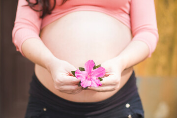 
pregnant woman with a rose
