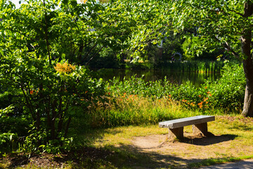 Fototapeta na wymiar lakeside bench