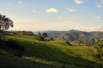 Pereira, Colombia - Countryside around La Bella