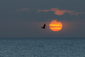 Ocaso en la costa