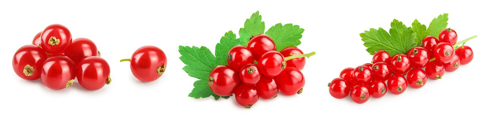 Red currant berries with leaf isolated on white background. Set or collection