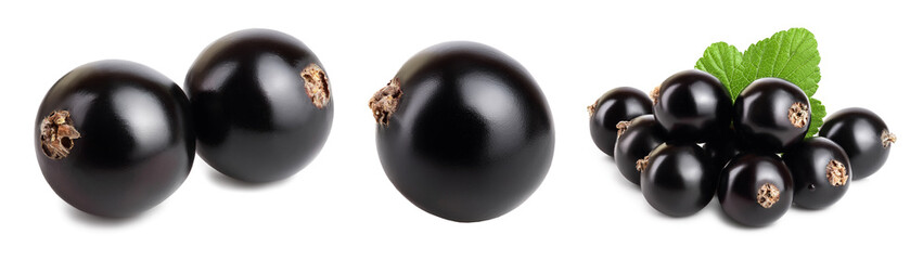 black currant with leaves isolated on white background with clipping path and full depth of field. Set or collection