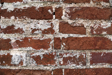 Old brick wall texture background