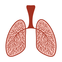 Sketchy illustration of human lungs with blood vessels. Colored icon clipart medicine, healthy human lungs