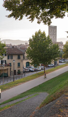 Panoramic photo of the city of Lucca
