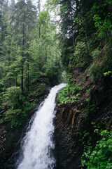 Mountain waterall and river in the forst moody green atmosphere with cold water rainy day