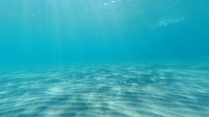 Fototapeta na wymiar Underwater photo of famous paradise beach of Koukounaries, Skiathos island, Sporades, Greece