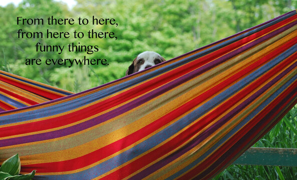 Motivational, inspirational quote on life.