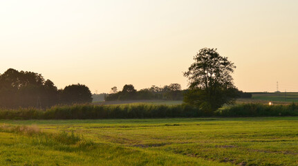 Łąka wieczorową porą © zibi