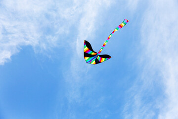 Colorful kite flying in the cloudy sky. Bright multicolored kite on a background of white clouds and blue sky