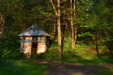 house in the woods