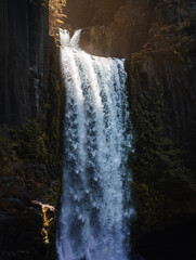waterfall in the forest