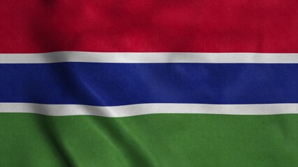 Gambia waving flag with cloth texture. 3d rendering
