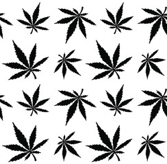 Vector seamless pattern of hand drawn marijuana hemp leaves silhouette isolated on white  background