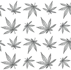 Vector seamless pattern of hand drawn doodle sketch marijuana hemp leaves isolated on white background