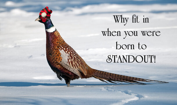 Motivational, inspirational quote on life.