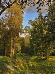 Fototapeta premium Jesień już tuż tuż