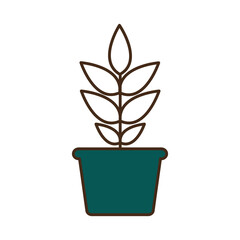 plant inside pot line and fill style icon vector design