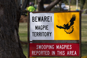 BEWARE of Swooping Magpies Sign in Western Australia