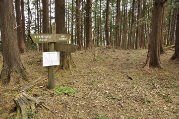 栗ノ木洞山頂