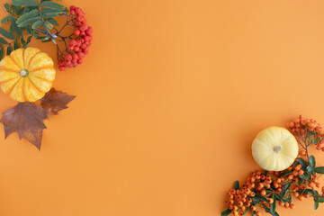Autumn flat lay, background of ripe and fresh pumpkins, mountain ash, chestnuts and yellow dry...