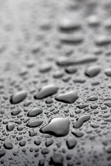 Gotas de agua sobre fondo gris