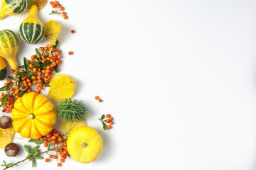 Autumn background of ripe pumpkins, rowan berries and leaves on a white background with place for text. Harvest concept, Thanksgiving.
