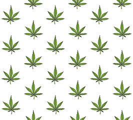 Vector seamless pattern of green colored hand drawn doodle sketch hemp cannabis isolated on white background