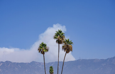 Rapidly developing Bobcat Fire on September 21, 2020. Panoramic image taken from Pasadena,...