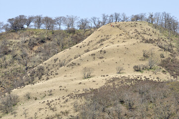 早春の不動ノ峰
