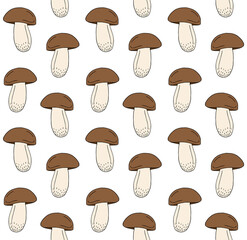 Vector seamless pattern of colored hand drawn doodle sketch King bolote cep mushroom isolated on white background