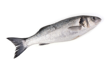 Sea fish, wolf or sea bass